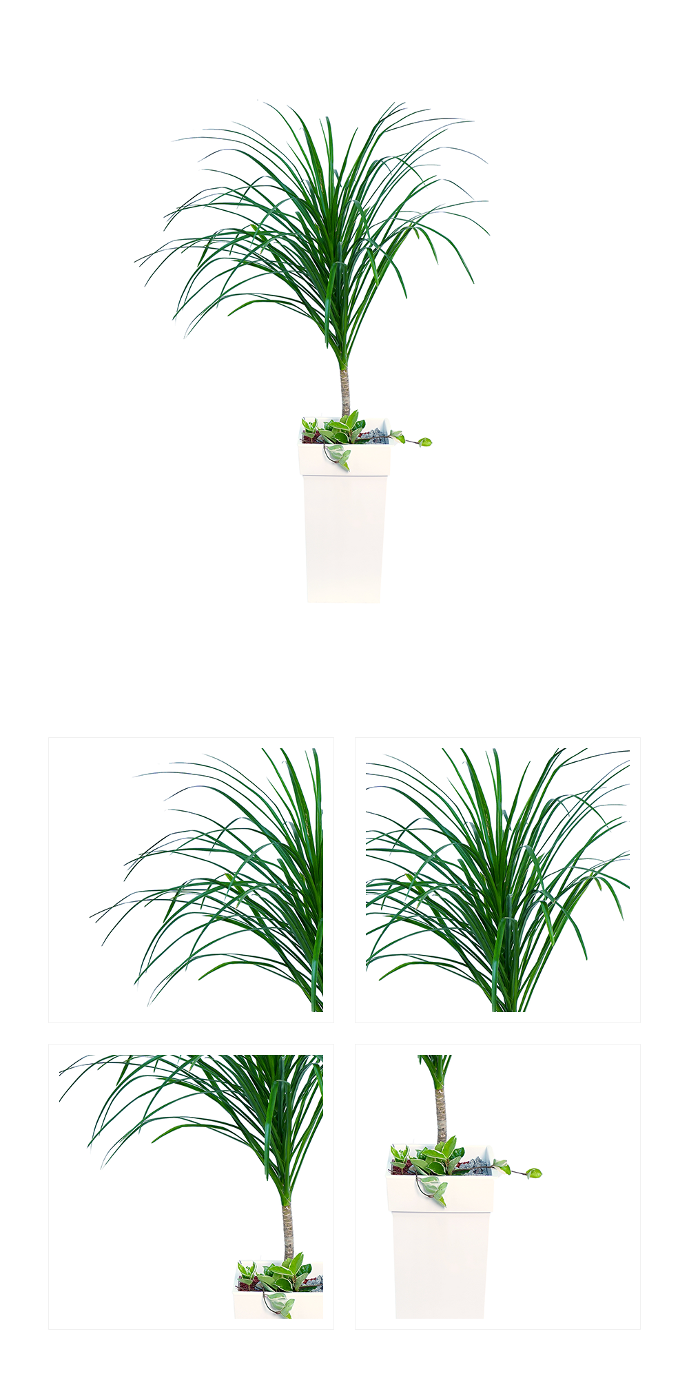 06_009.png 06_009.png